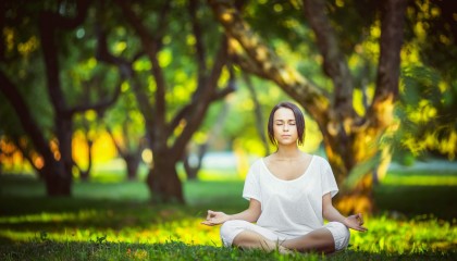 开云APP-铁血绿茵—2026世界杯四分之一决赛沙特VS挪威，穆西亚拉一剑封喉